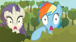 Size: 847x467 | Tagged: safe, artist:tiarawhy, rainbow dash, rarity, pegasus, pony, unicorn, reaction image, shocked