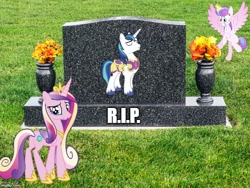 Size: 664x500 | Tagged: safe, artist:madarao123, princess cadance, princess flurry heart, shining armor, alicorn, pony, unicorn, gravestone, immortality blues, implied death, older, older flurry heart, op is a cuck, rest in peace