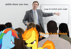 Size: 1280x881 | Tagged: safe, rainbow dash, spitfire, pegasus, pony, anger management, angry, ponies in real life