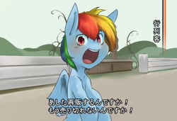 Size: 1500x1024 | Tagged: safe, artist:kolgha, rainbow dash, pegasus, pony, japanese, meme, pixiv, translated in the comments