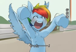 Size: 1500x1024 | Tagged: safe, artist:kolgha, rainbow dash, pegasus, pony, japanese, meme, pixiv