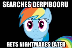 Size: 960x640 | Tagged: safe, rainbow dash, pegasus, pony, blue coat, female, image macro, mare, multicolored mane, why