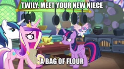 Size: 1280x720 | Tagged: safe, edit, edited screencap, screencap, princess cadance, princess flurry heart, shining armor, twilight sparkle, twilight sparkle (alicorn), alicorn, pony, unicorn, best gift ever, cauldron, cupcake, dialogue, flour, food, kitchen, pudding, puddinghead's pudding, text