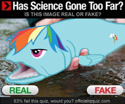 Size: 500x415 | Tagged: safe, rainbow dash, pegasus, pony, fishified, has science gone too far?, rainbow trout, real or fake, science, seems legit