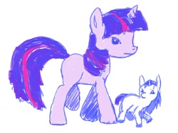 Size: 1024x768 | Tagged: artist needed, source needed, safe, shining armor, twilight sparkle, unicorn twilight, pony, unicorn, colt, colt shining armor, duo, female, male, mare, raised hoof, role reversal, simple background, unshorn fetlocks, white background, younger