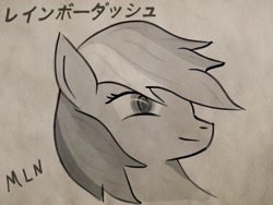 Size: 2048x1536 | Tagged: safe, artist:mylittleninja, rainbow dash, pegasus, pony, japan, japanese, kanji, katakana