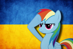 Size: 4000x2667 | Tagged: safe, rainbow dash, pegasus, pony, flag, rainbow dash salutes, salute, ukraine