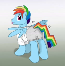 Size: 1280x1286 | Tagged: safe, artist:fuzebox, rainbow blitz, rainbow dash, pegasus, pony, boxer briefs, clothes, rule 63, underwear