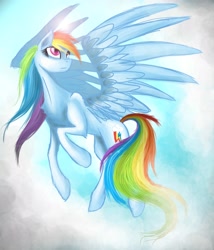 Size: 3000x3500 | Tagged: safe, artist:sitah22, rainbow dash, pegasus, pony, blue coat, female, mare, multicolored mane