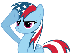 Size: 1024x773 | Tagged: safe, rainbow dash, pegasus, pony, blue coat, female, mare, multicolored mane, rainbow dash salutes, salute, solo, united states