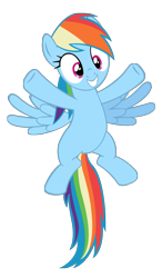 Size: 1383x2367 | Tagged: safe, artist:masterrottweiler, rainbow dash, pegasus, pony, baby cakes, simple background, solo, transparent background, vector