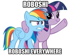 Size: 556x432 | Tagged: safe, rainbow dash, twilight sparkle, pegasus, pony, meme, meta, roboshi (user), twiface, wrong neighborhood, x x everywhere