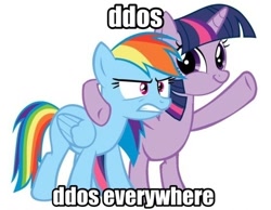 Size: 556x432 | Tagged: safe, rainbow dash, pegasus, pony, cispa, meme, meta, twiface, wrong neighborhood, x x everywhere