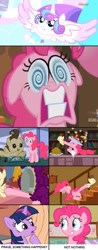 Size: 536x1370 | Tagged: safe, derpibooru import, pinkie pie, pound cake, princess flurry heart, twilight sparkle, earth pony, pony, spoiler:s06, baby, baby pony, engrish, meme, ptsd, triggered