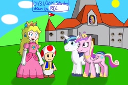 Size: 1024x682 | Tagged: safe, artist:fester1124, princess cadance, shining armor, alicorn, pony, unicorn, crossover, princess peach, super mario bros., toad (mario bros)