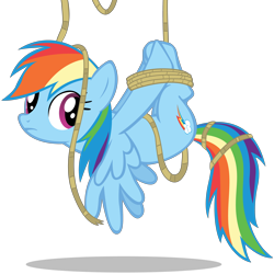 Size: 4000x4000 | Tagged: safe, artist:stinkehund, rainbow dash, pegasus, pony, bondage, hogtied, rope, suspended, tied up, upside down