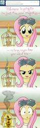 Size: 640x2017 | Tagged: safe, artist:giantmosquito, fluttershy, philomena, pegasus, phoenix, pony, ask, ask-dr-adorable, dr adorable, parody, tumblr