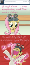 Size: 640x1380 | Tagged: safe, artist:giantmosquito, fluttershy, pegasus, pony, ask, ask-dr-adorable, dr adorable, parody, tumblr