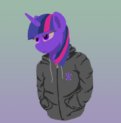 Size: 776x793 | Tagged: safe, artist:sv37, derpibooru import, twilight sparkle, clothes, hoodie, solo