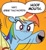 Size: 334x366 | Tagged: safe, idw, rainbow dash, earth pony, pegasus, pony, blonde mane, blue coat, blue wings, dialogue, exploitable meme, female, mare, meme, multicolored hair, open mouth, orange background, raised hoof, raised leg, simple background, smiling, speech bubble, two words meme, underhoof, wings