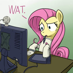 Size: 640x640 | Tagged: safe, artist:giantmosquito, fluttershy, pegasus, pony, computer, dr adorable, reaction image, wat, webcam