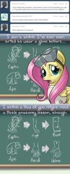 Size: 640x1590 | Tagged: safe, artist:giantmosquito, fluttershy, ape, gorilla, pegasus, pony, ask, ask-dr-adorable, chalkboard, diagram, dr adorable, tumblr