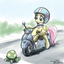 Size: 640x640 | Tagged: safe, artist:giantmosquito, fluttershy, tank, pegasus, pony, tortoise, moped, vespa