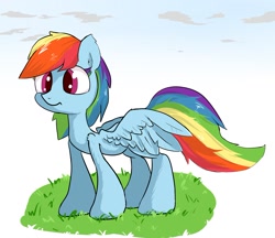 Size: 1280x1105 | Tagged: safe, artist:zokkili, rainbow dash, pegasus, pony, female, grass, mare, solo