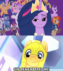 Size: 1280x1440 | Tagged: safe, edit, edited screencap, screencap, flash sentry, night light, owlowiscious, princess cadance, princess celestia, princess flurry heart, princess luna, princess twilight 2.0, shining armor, starlight glimmer, sunburst, sunset shimmer, thorax, twilight sparkle, twilight sparkle (alicorn), twilight velvet, alicorn, changedling, changeling, pegasus, unicorn, equestria girls, equestria girls (movie), the last problem, cute, diasentres, female, glasses, king thorax, male, mare, older, older twilight, smiling, subverted meme, the magic of friendship grows, they forgot about me, wall of tags, wings