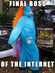 Size: 610x813 | Tagged: safe, rainbow dash, human, brony, cosplay, final boss of the internet, irl, irl human, photo, solo