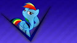 Size: 1920x1080 | Tagged: safe, artist:overmare, rainbow dash, pegasus, pony, blue coat, female, mare, multicolored mane, solo, vector, wallpaper