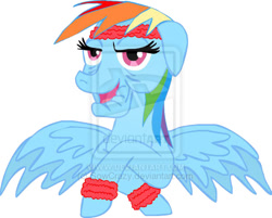 Size: 600x482 | Tagged: safe, artist:sowcrazy, rainbow dash, pegasus, pony, elderly, solo, sweatband, watermark