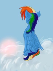 Size: 1024x1365 | Tagged: safe, artist:melodyraichal, rainbow dash, pegasus, pony, blue coat, female, mare, multicolored mane