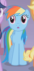 Size: 305x633 | Tagged: safe, screencap, rainbow dash, pegasus, pony, suited for success, cropped, solo focus