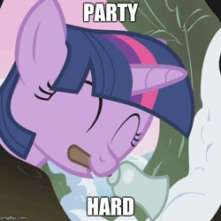 Size: 500x500 | Tagged: safe, derpibooru import, edit, edited screencap, screencap, twilight sparkle, winter wrap up, bell, cropped, meme, mouth hold, party hard, snow, solo