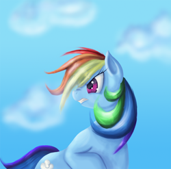 Size: 800x789 | Tagged: safe, artist:myhysteria, rainbow dash, pegasus, pony, blue coat, female, mare, multicolored mane