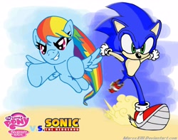 Size: 3517x2767 | Tagged: safe, artist:maroxxiii, rainbow dash, pegasus, pony, crossover, sonic the hedgehog, sonic the hedgehog (series)