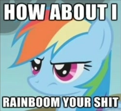 Size: 703x640 | Tagged: safe, rainbow dash, pegasus, pony, how about i slap your shit, image macro, reaction image, vulgar