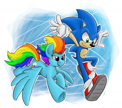 Size: 1800x1600 | Tagged: safe, artist:luximus17, rainbow dash, pegasus, pony, commission, crossover, sonic the hedgehog, sonic the hedgehog (series)