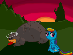 Size: 800x600 | Tagged: safe, artist:etech, rainbow dash, bear, pegasus, pony, canterlot, circling stars, plot, sunset