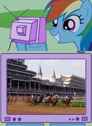 Size: 559x767 | Tagged: safe, rainbow dash, pegasus, pony, exploitable meme, horse racing, kentucky derby, tv meme