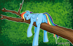 Size: 1600x1002 | Tagged: safe, artist:corkalompl, rainbow dash, pegasus, pony, blue coat, female, mare, multicolored mane, solo, tree, tree branch