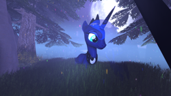 Size: 3840x2160 | Tagged: safe, princess luna, alicorn, pony, 3d, fog, forest, grass, moon, night, particles, tree