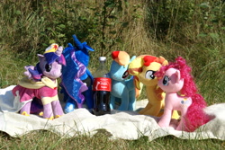 Size: 3872x2592 | Tagged: safe, pinkie pie, princess luna, rainbow dash, sunset shimmer, twilight sparkle, twilight sparkle (alicorn), alicorn, clothes, coca-cola, coronation dress, dress, irl, photo, picnic, plushie, polish