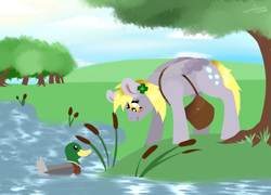 Size: 1280x920 | Tagged: safe, artist:fatcakes, derpy hooves, duck, mallard, pegasus, pony, cattails, female, mailbag, male, mare, river, solo, tree