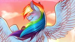 Size: 1920x1080 | Tagged: safe, artist:t1n-can, derpibooru import, rainbow dash, pegasus, pony, cloud, cloudy, looking back, rear view, sky, smiling, solo, spread wings, windswept mane