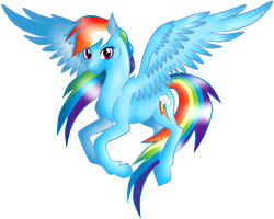 Size: 5000x4000 | Tagged: safe, artist:goda900, rainbow dash, pegasus, pony, blue coat, female, mare, multicolored mane