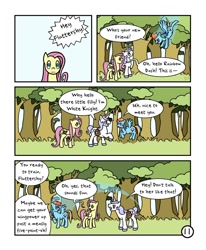 Size: 800x971 | Tagged: safe, artist:doodlesnap, fluttershy, rainbow dash, oc, pegasus, pony, comic:chivalry, comic