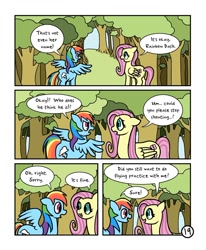 Size: 800x971 | Tagged: safe, artist:doodlesnap, fluttershy, rainbow dash, pegasus, pony, comic:chivalry, comic