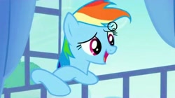 Size: 1024x575 | Tagged: safe, rainbow dash, pegasus, pony, spike at your service, animation error, blue coat, female, mare, multicolored mane